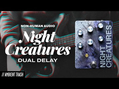 Non-Human Audio Night Creatures